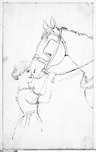 Girl Holding a Horse