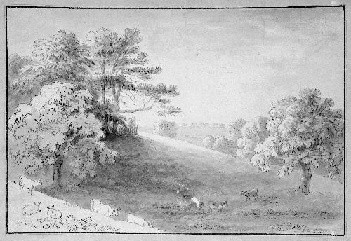 Landscape with Sheep