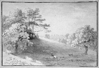 Landscape with Sheep