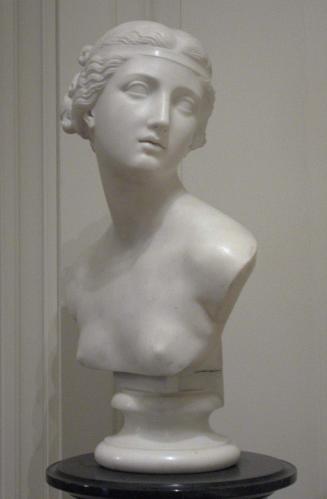 Head of a Young Girl