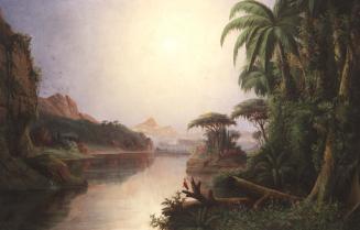 Tropical Landscape