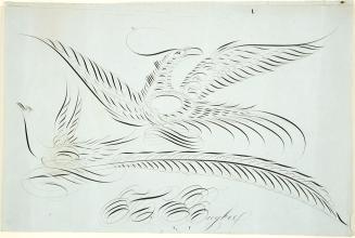 Calligraphic Birds