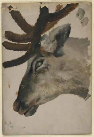 Head of a Reindeer