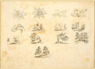 Thirteen Studies of Leaf Arrangements