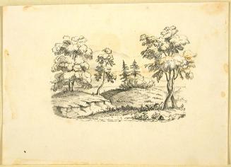 Landscape with Trees