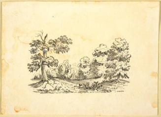 Landscape with Trees