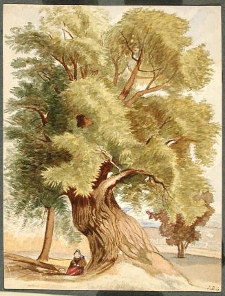 Women Sitting Beneath a Large Tree