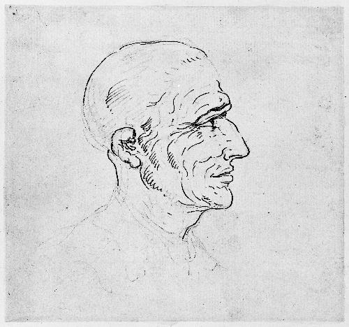 Head of a Man