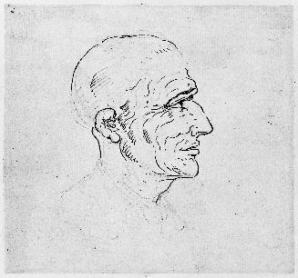 Head of a Man