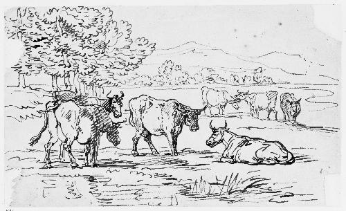 Seven Cows in a Landscape