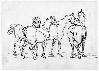 Four Horses