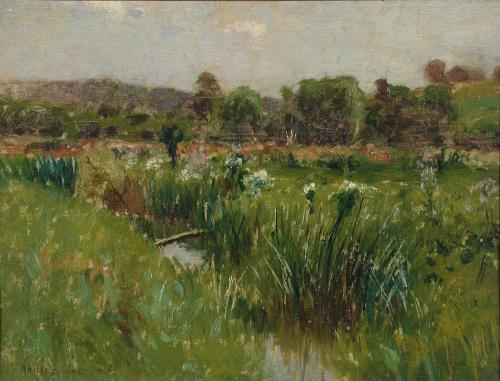 Landscape with Wild Irises