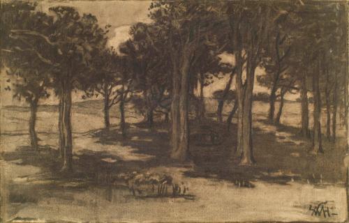 Wooded Landscape