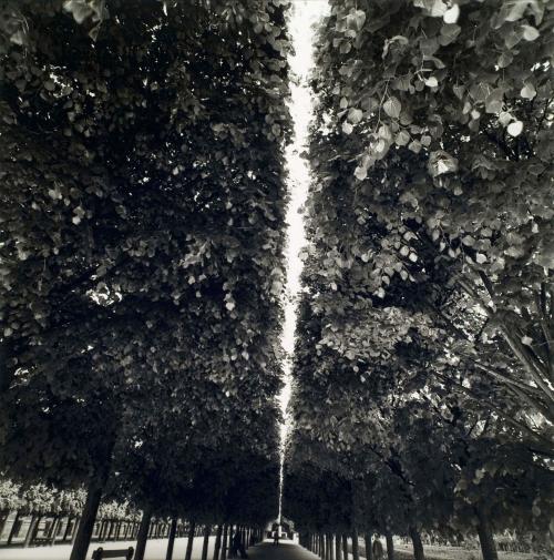 Jardin du Luxembourg