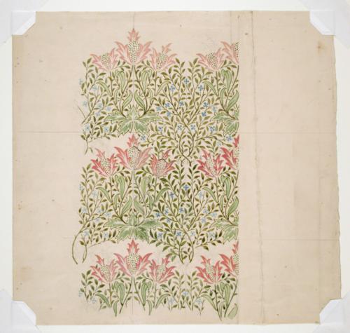 William Morris Collection