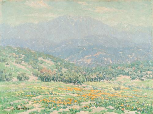 California Poppies