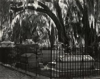 Bonaventure Cemetery Savannah, Georgia