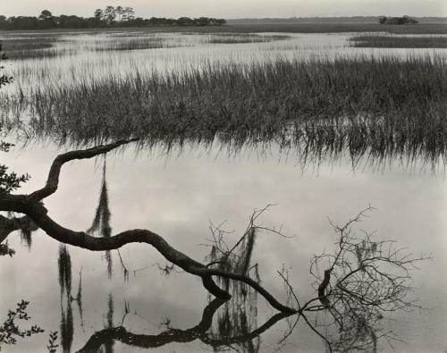 Marshes of Glynn, Sea Island, Georgia