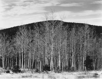 Aspen Valley, New Mexico