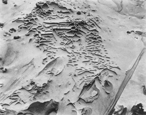 Sand Stone Erosion, Point Lobos