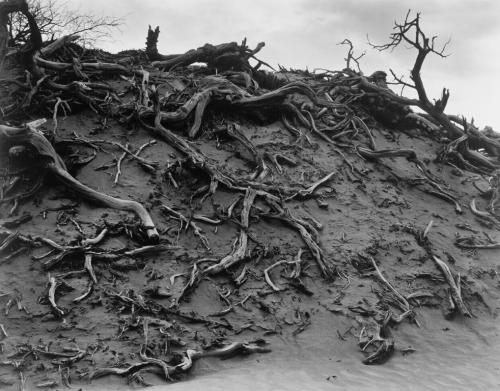 Dunes, Death Valley