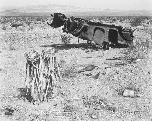 Mojave Desert