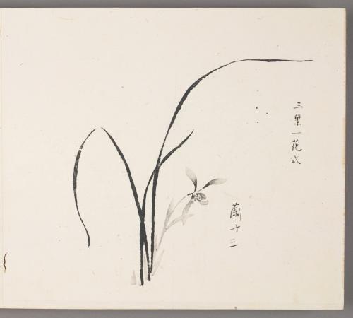 Method of three leaves and one blossom 三葉一花式