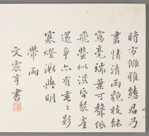 Calligraphy 帶雨