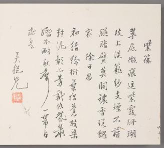 Calligraphy 紫篠