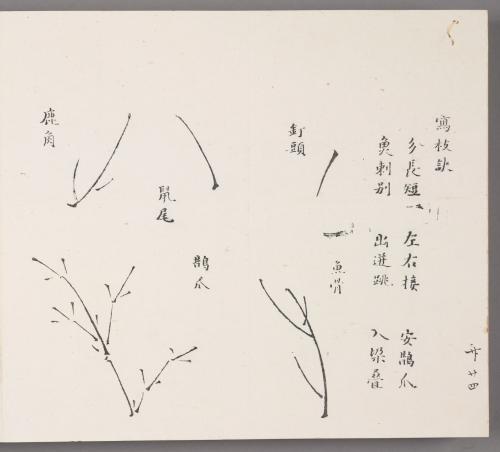 Pointers for Depicting Branches 寫枝訣