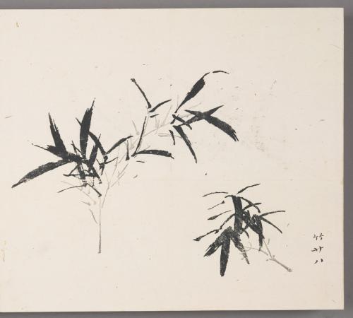 Bamboo Leaves