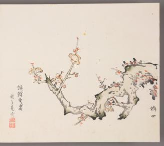 Flowering Plum