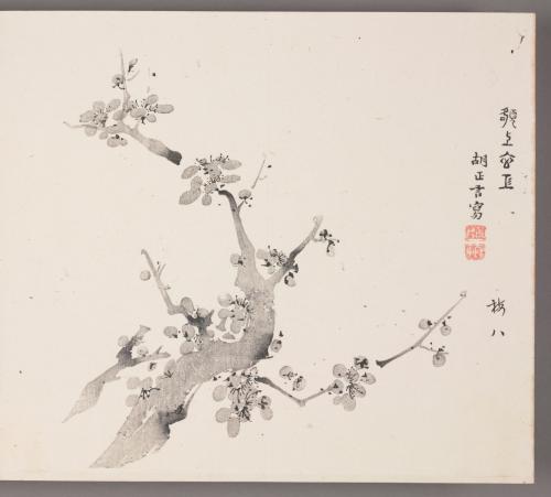 Flowering Plum 額上玄工