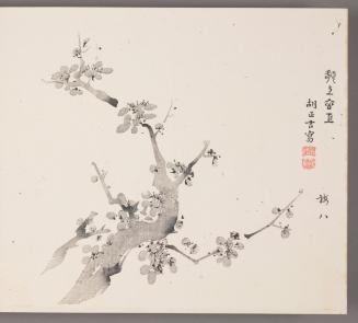 Flowering Plum 額上玄工