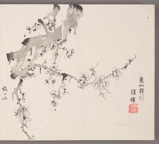 Flowering Plum Branch 東吅窺宋