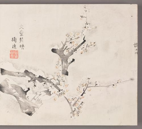 Flowering Plum Branch in Snow