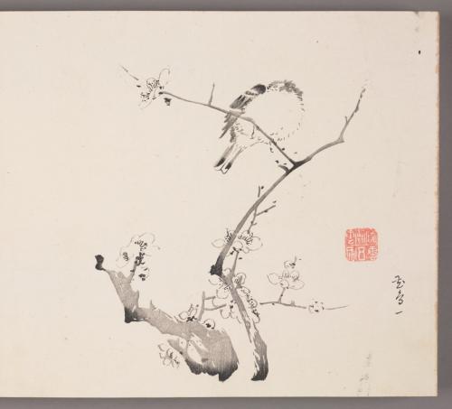 Bird on Flowering Plum Branch