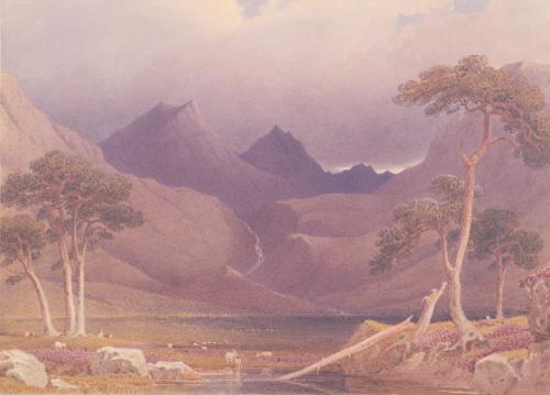 Highland Landscape