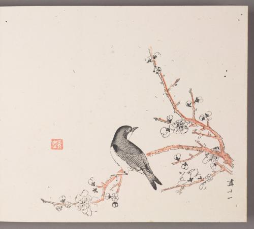 Bird on Flowering Plum Branch