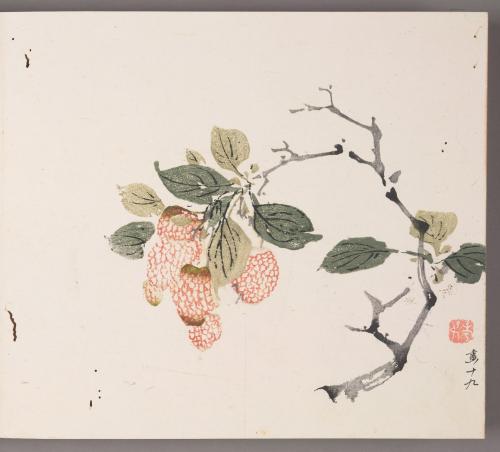 Lychee Branch