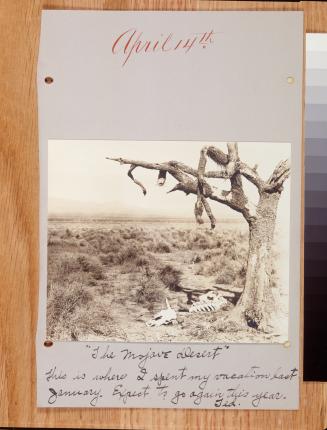 Archery Notebooks of Dr. Edward B. Weston, Vol. 2,  February 26 - April 29, 1914