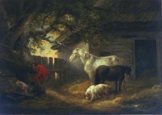 A Farmyard