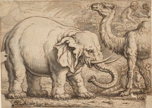 Elephant, Camel, and Two Monkeys