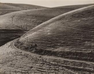 Hills Near Hayward