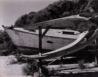 Whale Skeleton and Boat, Point Lobos