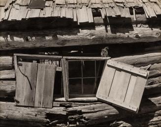 Cabin, High Sierra