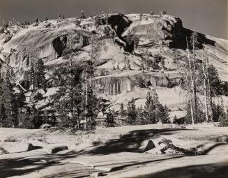 Tenaya Lake