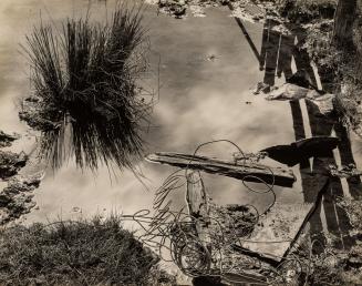 At Meyer's Ranch, Yosemite