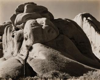 Mojave Desert