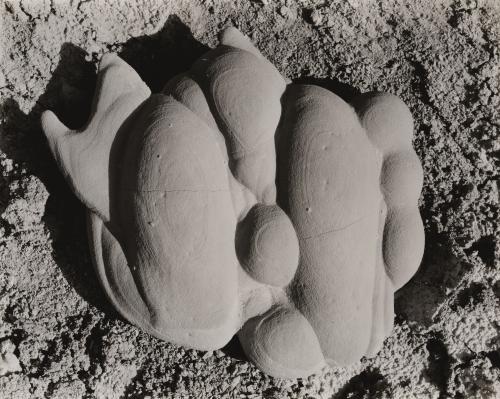 Sandstone Concretion, Salton Sea